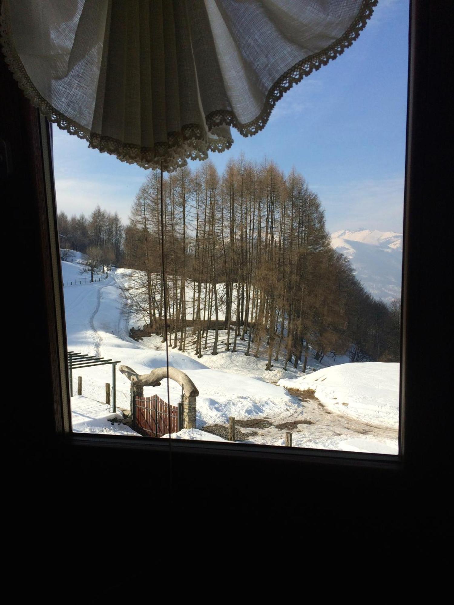 Agriturismo Le Radici San Fedele Intelvi Kamer foto