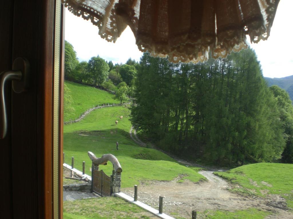 Agriturismo Le Radici San Fedele Intelvi Kamer foto