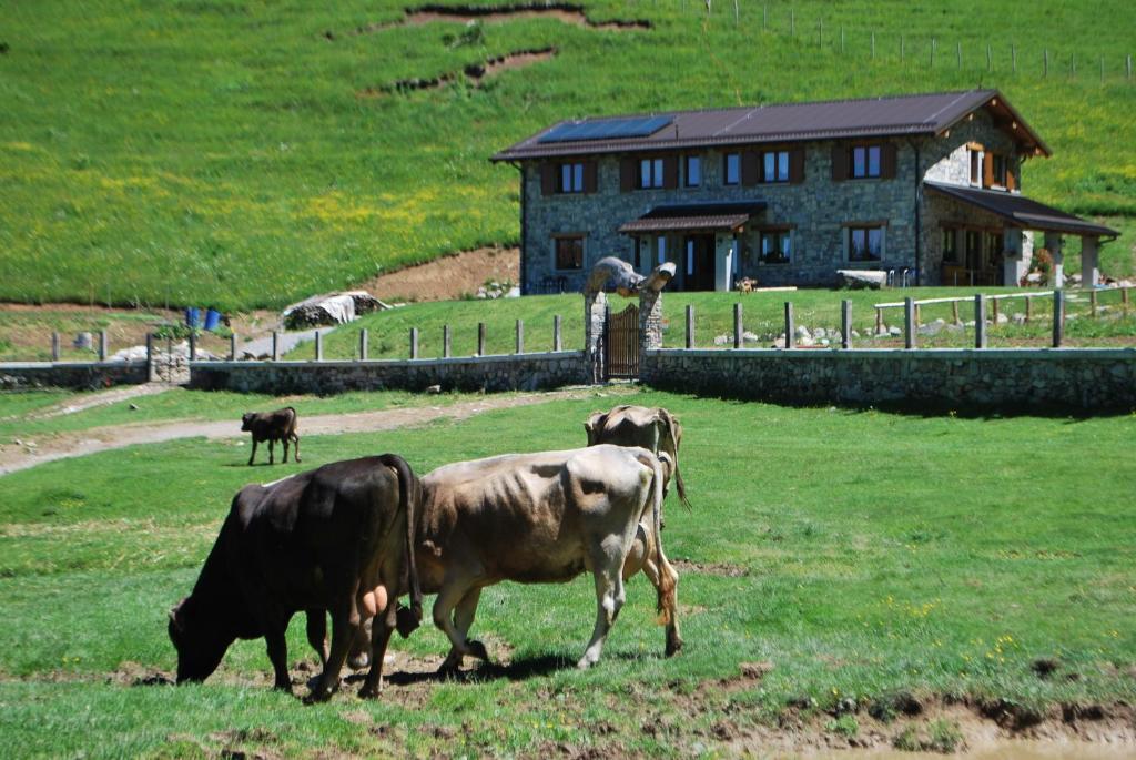 Agriturismo Le Radici San Fedele Intelvi Buitenkant foto