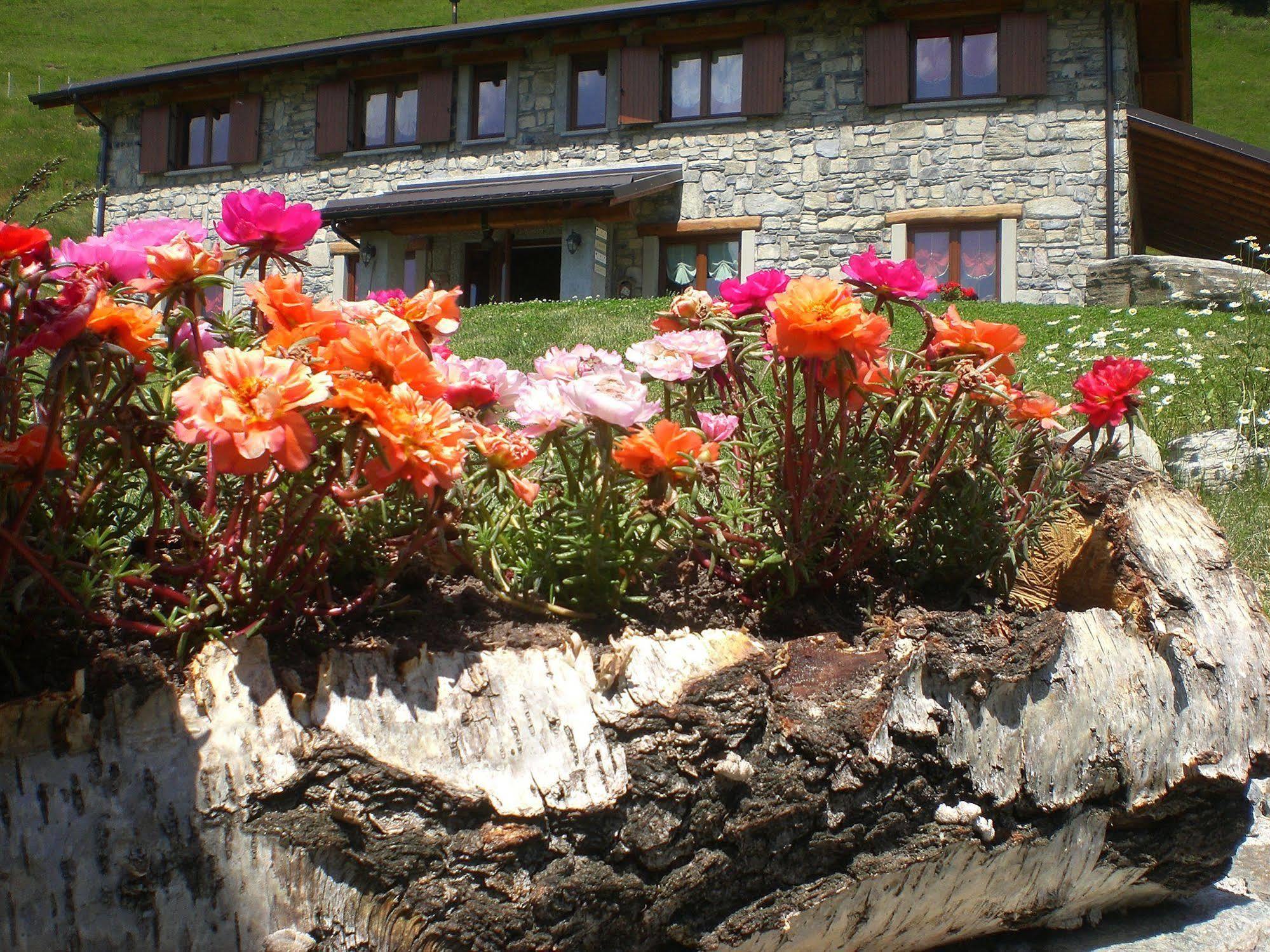 Agriturismo Le Radici San Fedele Intelvi Buitenkant foto