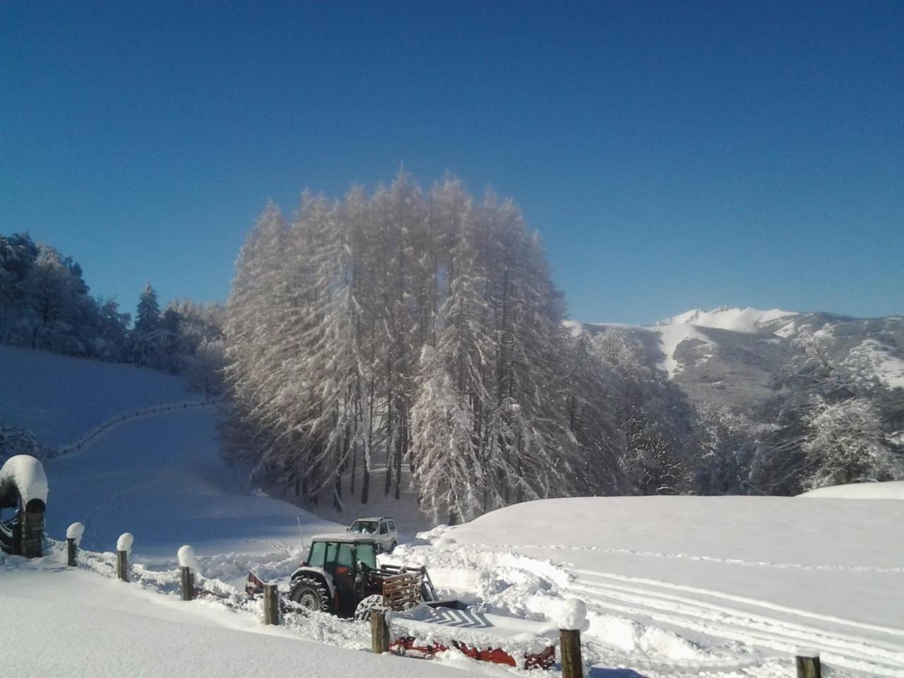 Agriturismo Le Radici San Fedele Intelvi Buitenkant foto