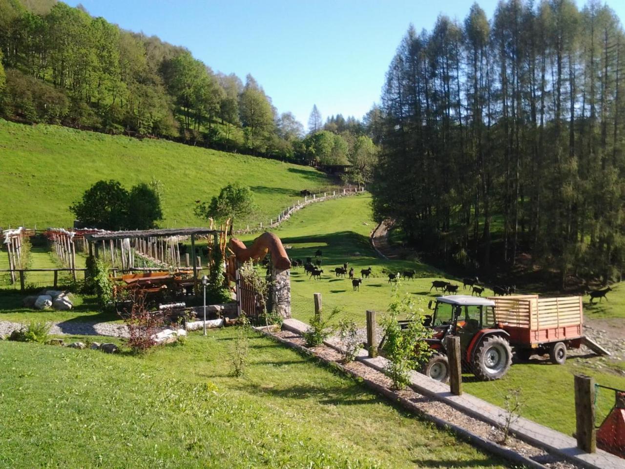 Agriturismo Le Radici San Fedele Intelvi Buitenkant foto